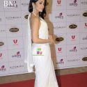The Global Indian Film & TV Honours 2011