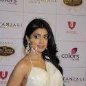 The Global Indian Film & TV Honours 2011