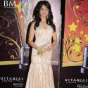 The Global Indian Film & TV Honours 2011