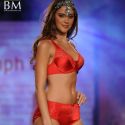 Triumph inspiration Awards Show 2012