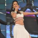 Umang 2013 Police Show