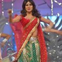 Umang 2013 Police Show