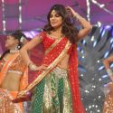 Umang 2013 Police Show
