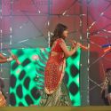 Umang 2013 Police Show