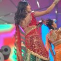 Umang 2013 Police Show