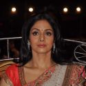 Umang 2013 Police Show