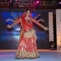 V Shantaram Awards 2009