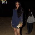 Pitbull Music Concert 2011