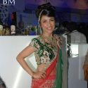 Amby Valley Indian Bridal Week 2010 Day 5