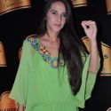 Celebs at Blenders Pride Fashion Show 2012
