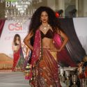CSI 2011 63rd Annual Conference of Cardiological S