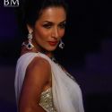 HDIL India Couture Week 2010 Day 2
