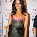 Lakme Winter Fashion Week 2010 Day 3