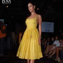 Lakme Winter Fashion Week 2010 Day 1