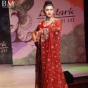 Le Mark Institute Fashion Show