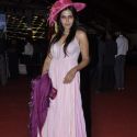 McDowell Signature Premier Indian Derby 2013