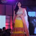 Pidilite CPAA Charity Fashion Show