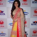 Pidilite CPAA Charity Fashion Show