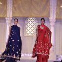 Sahchari Foundation Fashion Show