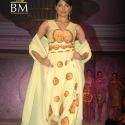 SNDT Chrysalis Fashion Show