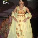 SNDT Chrysalis Fashion Show