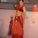 SNDT's Chrysallis Fashion Show
