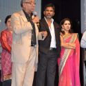 the Cancer Patients Aid Association Fashion Show 2013