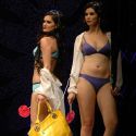 Triumph Lingerie Show