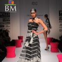 Wills Lifestyle India Fashion Week 2011