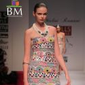 Wills Lifestyle India Fashion Week 2011