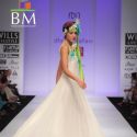 Wills Lifestyle India Fashion Week 2011