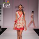 Wills Lifestyle India Fashion Week 2011