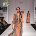 Wills Lifestyle India Fashion Week 2011