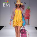 Wills Lifestyle India Fashion Week 2011