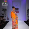 Wills Lifestyle India Fashion Week 2011