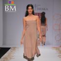 Wills Lifestyle India Fashion Week 2011