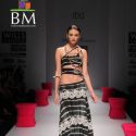 Wills Lifestyle India Fashion Week 2011
