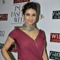 Wills Lifestyle India Fashion Week 2013 Day 2