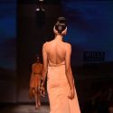 Wills Lifestyle India Fashion Week 2013
