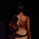 Wills Lifestyle India Fashion Week 2013