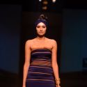 Wills Lifestyle India Fashion Week 2013
