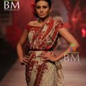 Wills Lifestyle India Fashion Week (WIFW) 2010 Day