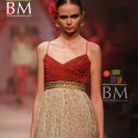 Wills Lifestyle India Fashion Week (WIFW) 2010 Day