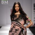 Wills Lifestyle India Fashion Week (WIFW) 2010 Day
