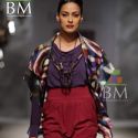 Wills Lifestyle India Fashion Week (WIFW) 2010 Day