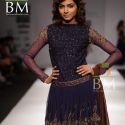 Wills Lifestyle India Fashion Week (WIFW) 2010 Day