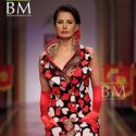 Wills Lifestyle India Fashion Week (WIFW) 2010 Day
