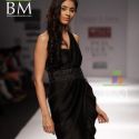Wills Lifestyle India Fashion Week (WIFW) 2010 Day