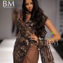 Wills Lifestyle India Fashion Week (WIFW) 2010 Day