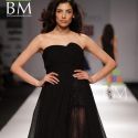 Wills Lifestyle India Fashion Week (WIFW) 2010 Day